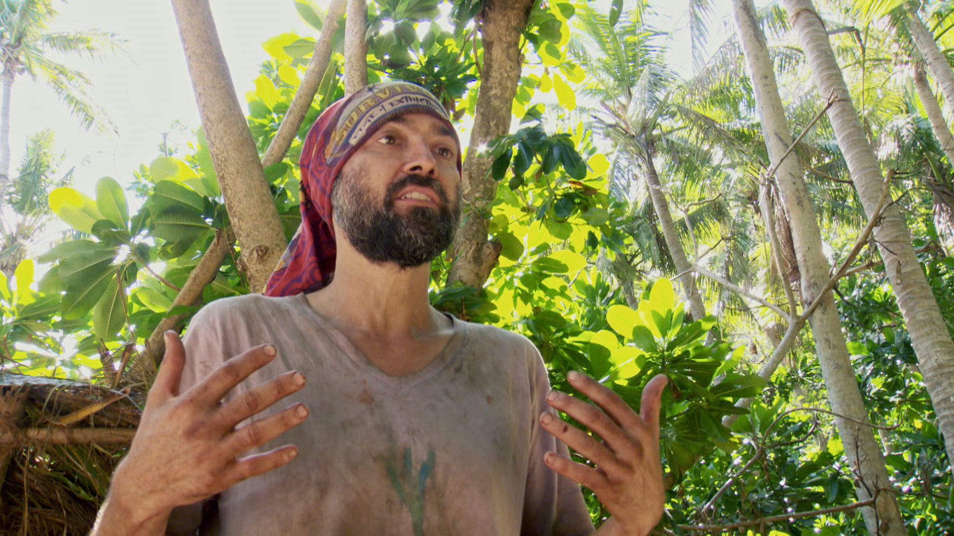 Survivor : Blood of a Blindside'