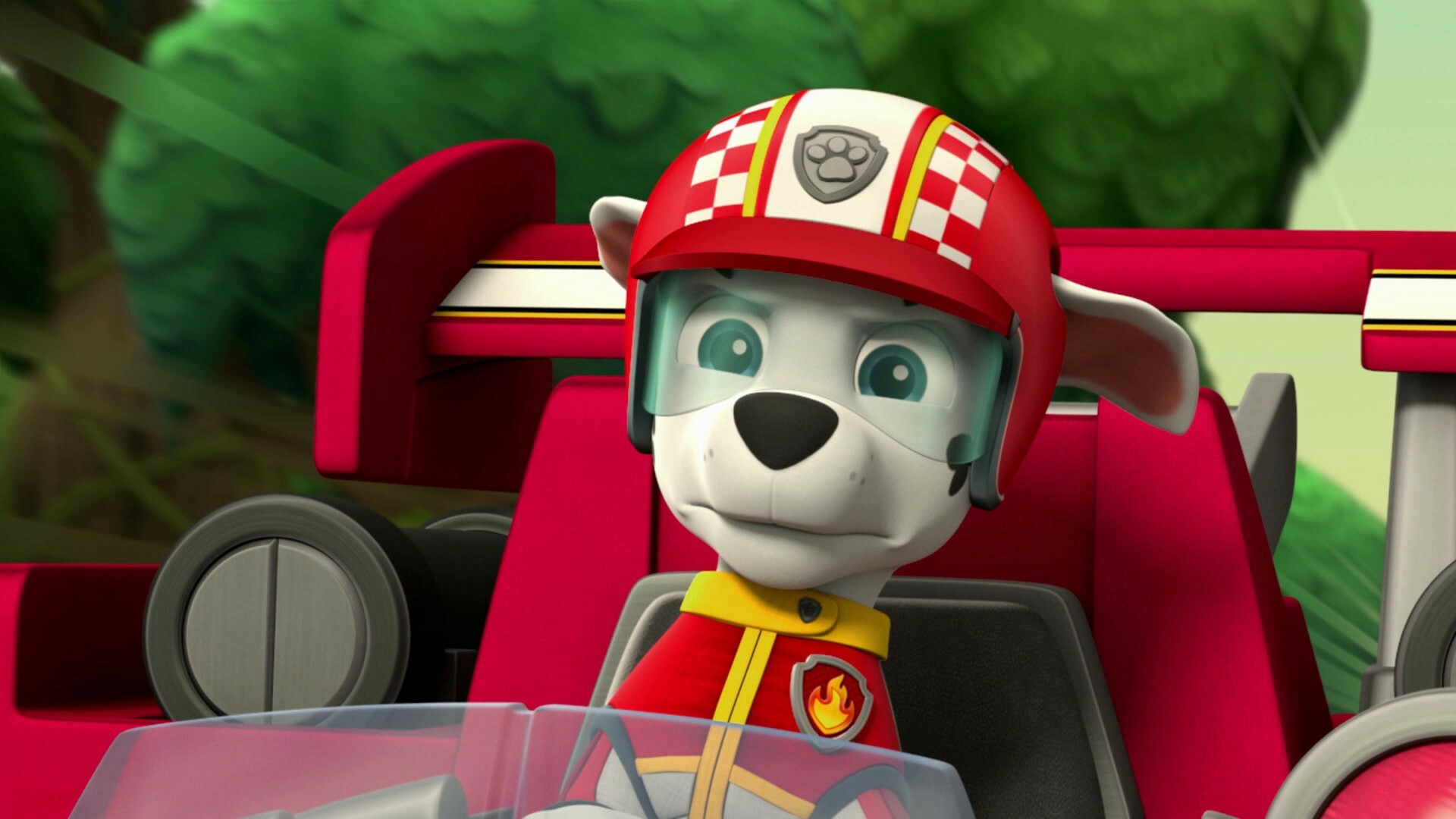 Paw patrol ready race rescue watch online online