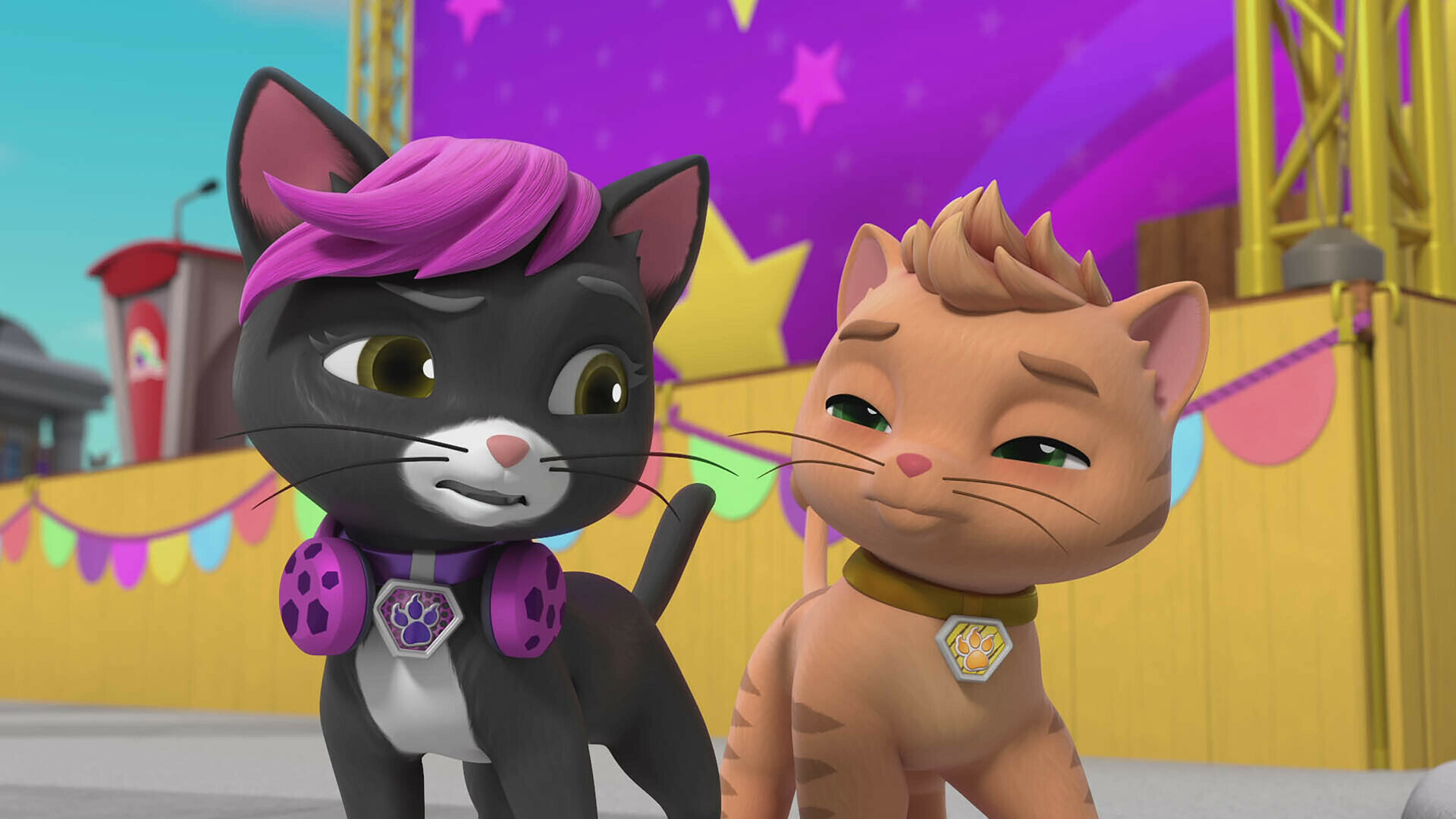Callie cat paw patrol top