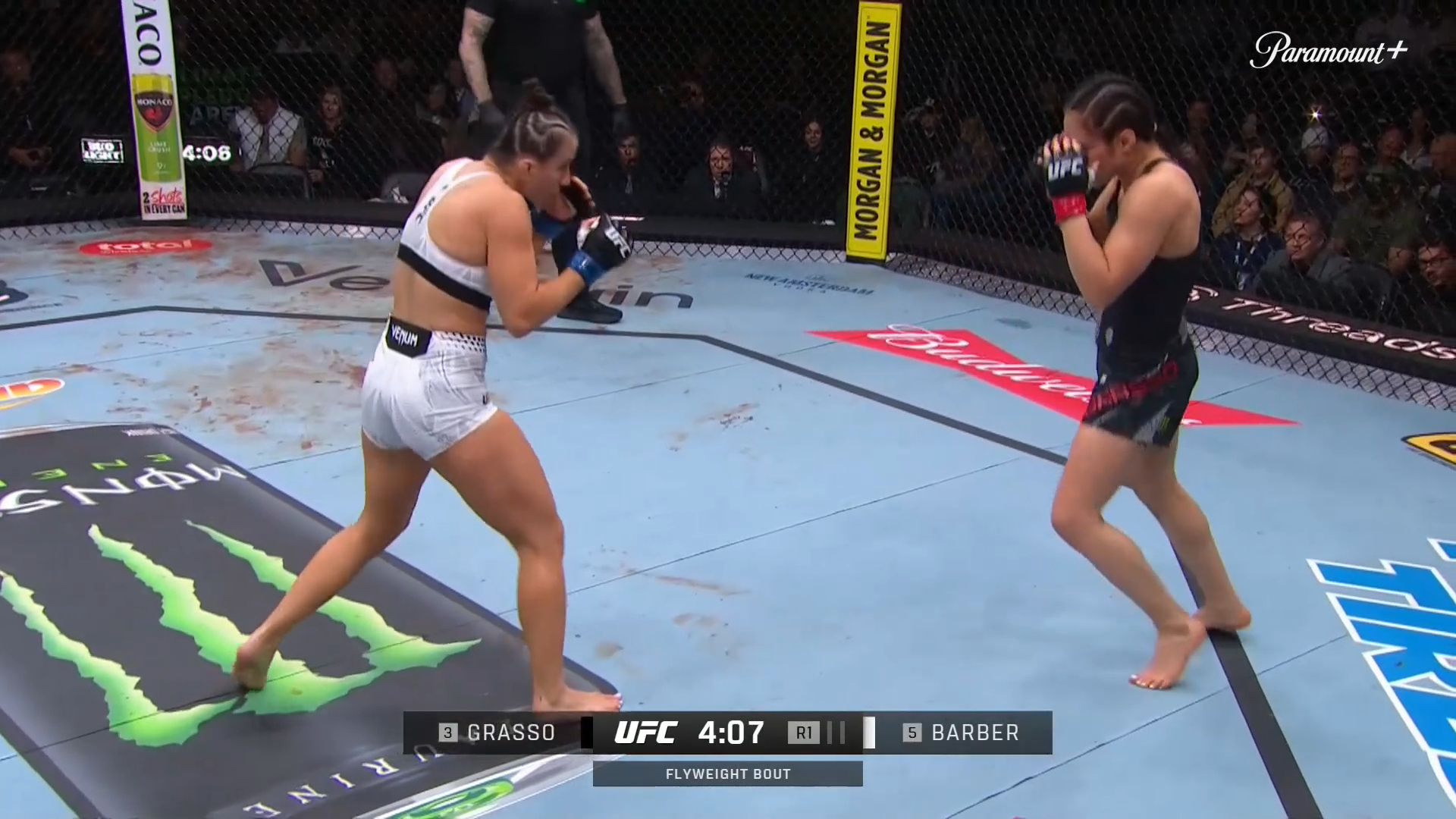 UFC Fight Night : Alexa Grasso vs. Maycee Barber (UFC Fight Night: Adesanya vs. Pyfer - Main)'